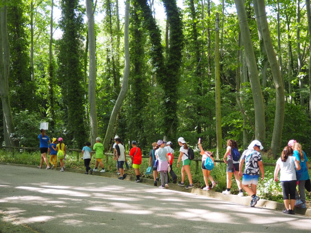 2n, 4t i 6è – Colònies a El&nbsp;Pinatar